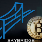 SkyBridge invierte en Bitcoin