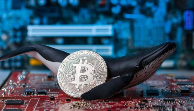 Influencia de las ballenas sobre precios del Bitcoin