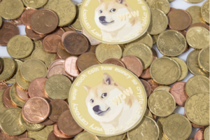 DOGE registra una capitalización