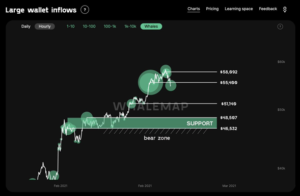 Pérdidas de Bitcoin