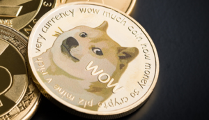 Expectativas por Doge