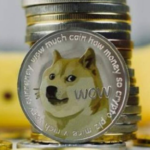 Dogecoin cae 29%